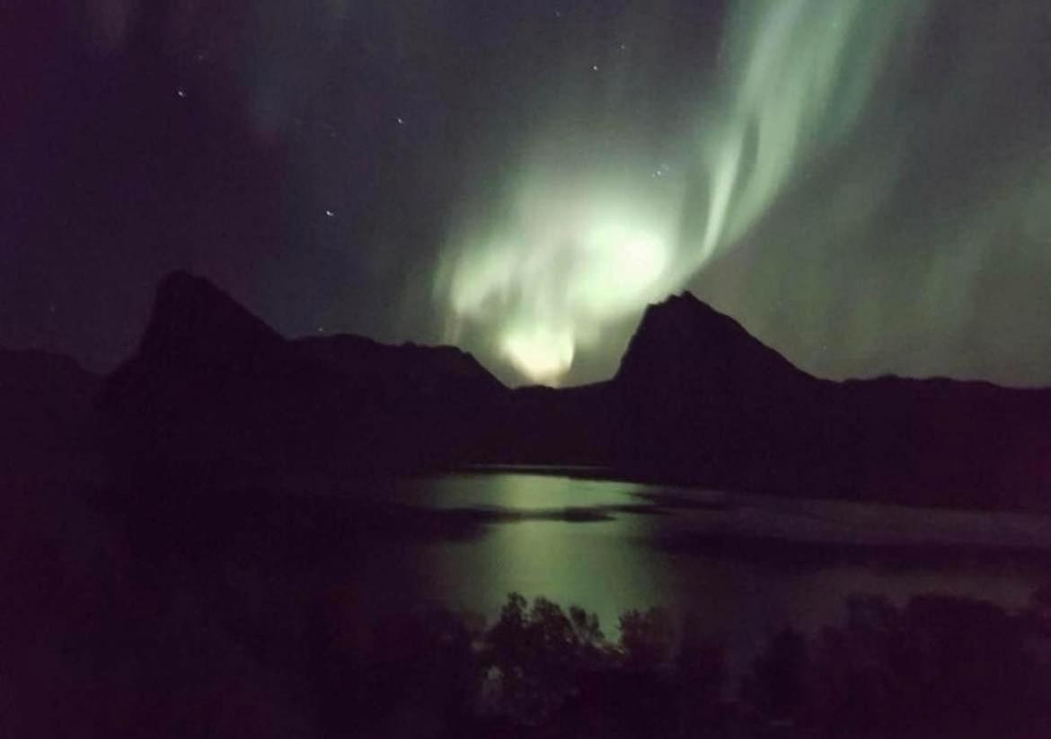 Aparthotel Senja Living Stonglandseidet Exterior foto